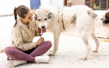freundlicher Grappa wünscht sich eine eigene Familie