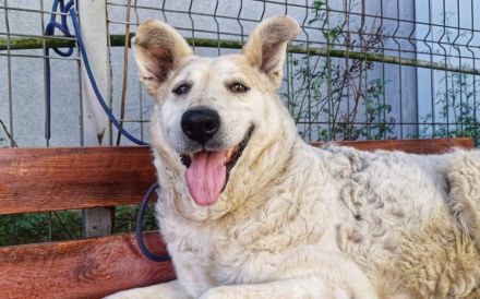 Wer zeigt Gretel wie schön das Leben ist?