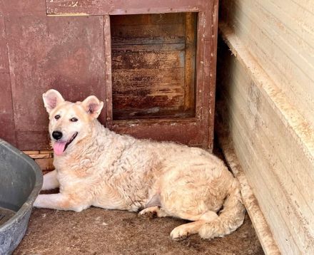 Wer zeigt Gretel wie schön das Leben ist?
