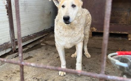 Wer zeigt Gretel wie schön das Leben ist?