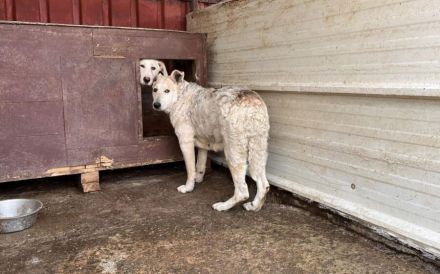 Wer zeigt Gretel wie schön das Leben ist?