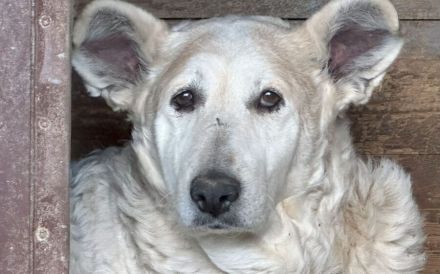 Wer zeigt Gretel wie schön das Leben ist?