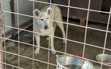 Wer zeigt Gretel wie schön das Leben ist?