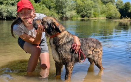 Malibu sucht ein Zuhause für immer .. auch ohne Meer.