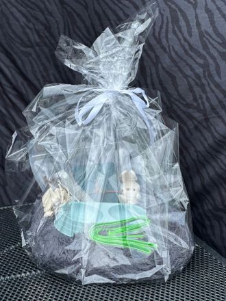 Toypudel - Zwergpudel Pudel Welpen