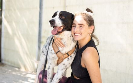 Blickfang Cookie sucht einen Platz als Einzelprinz!