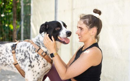 Blickfang Cookie sucht einen Platz als Einzelprinz!