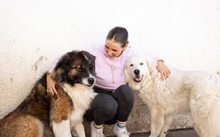 Hallo, ich heiße Bahar und suche ein liebevolles Zuhause.