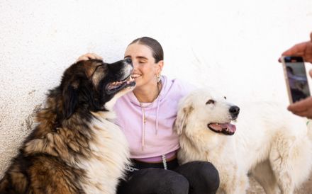 Hallo, ich heiße Bahar und suche ein liebevolles Zuhause.