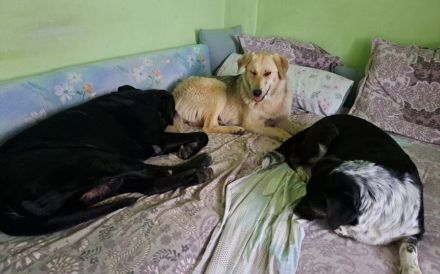 Nuri sehnt sich nach einer Familie!