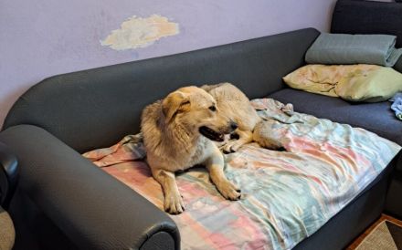 Nuri sehnt sich nach einer Familie!