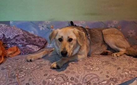 Nuri sehnt sich nach einer Familie!