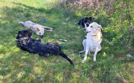 Nuri sehnt sich nach einer Familie!