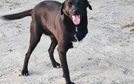 Verliebst du dich in Rajani?