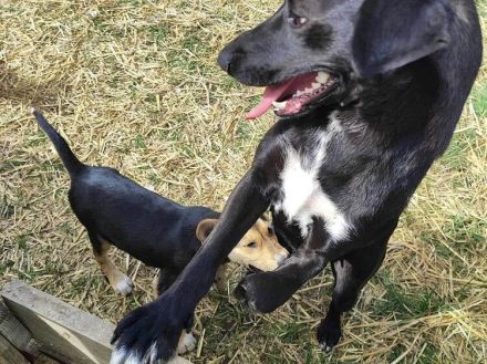 Verliebst du dich in Rajani?