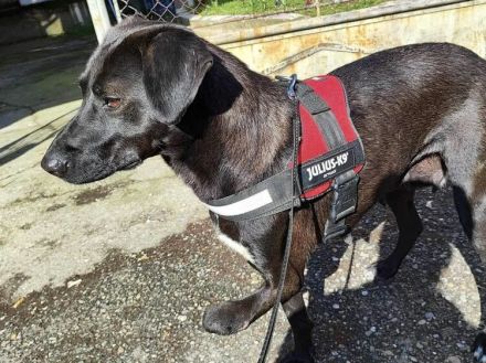 Verliebst du dich in Rajani?