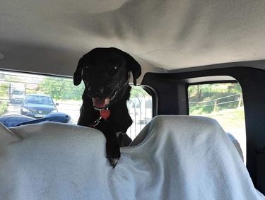 Verliebst du dich in Rajani?