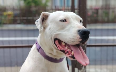 Einzigartige Evita sucht ihre Familie