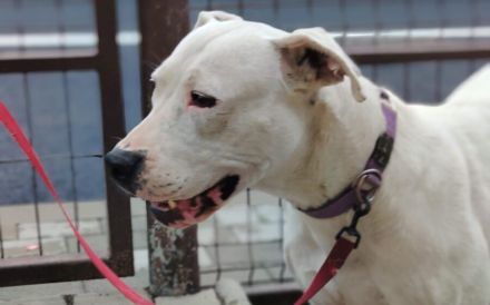 Einzigartige Evita sucht ihre Familie