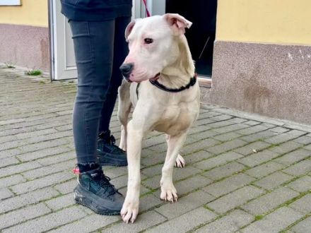 Einzigartige Evita sucht ihre Familie