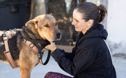 Kaimi ist bereit für ein neues Leben! Bei dir?