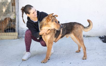 Kaimi ist bereit für ein neues Leben! Bei dir?