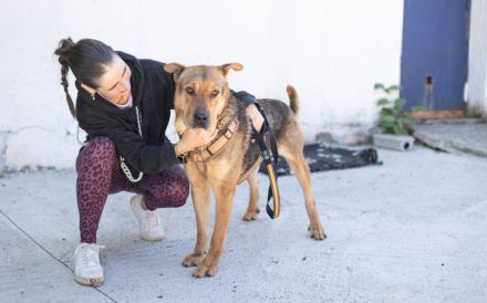 Kaimi ist bereit für ein neues Leben! Bei dir?