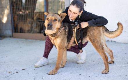 Kaimi ist bereit für ein neues Leben! Bei dir?