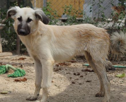 Shirin, Juju, Nina Chuba, Namika, Loredana, Sido, ca. 02/2024, GRIECHENLAND