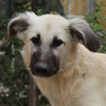 Shirin, Juju, Nina Chuba, Namika, Loredana, Sido, ca. 02/2024, GRIECHENLAND