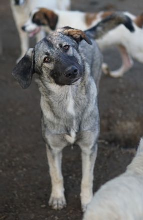 Shirin, Juju, Nina Chuba, Namika, Loredana, Sido, ca. 02/2024, GRIECHENLAND