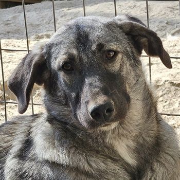 Shirin, Juju, Nina Chuba, Namika, Loredana, Sido, ca. 02/2024, GRIECHENLAND