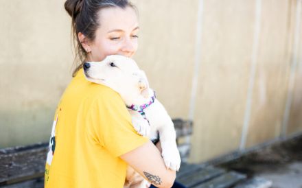 Findet Bronco bei dir eine liebevolles Zuhause?