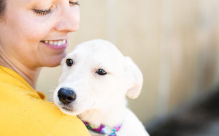 Findet Bronco bei dir eine liebevolles Zuhause?