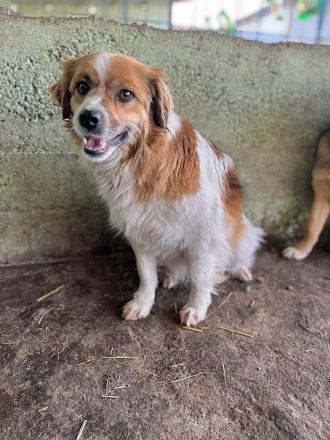 Mary, schüchtern und zurückhaltent