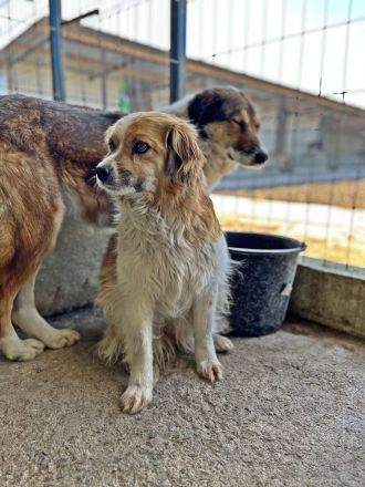 Mary, schüchtern und zurückhaltent