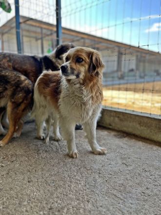 Mary, schüchtern und zurückhaltent