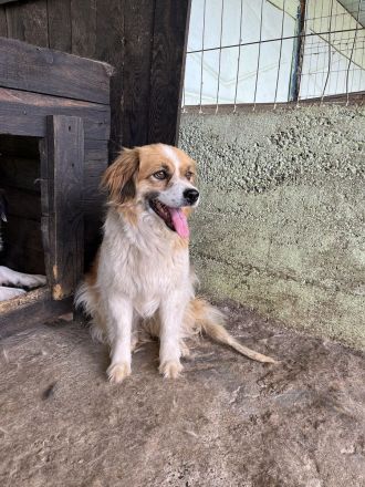 Mary, schüchtern und zurückhaltent