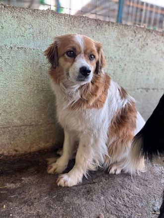 Mary, schüchtern und zurückhaltent