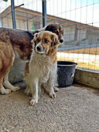 Mary, schüchtern und zurückhaltent
