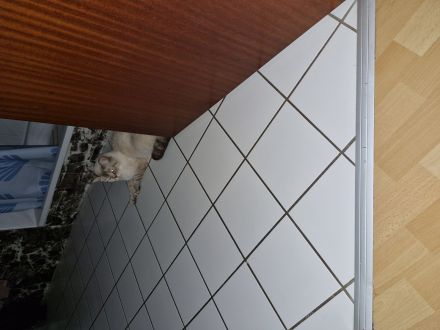 Mama und Tochter suchen ein gutes Zuhause