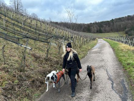 Hundeschule Kim Pawssible Hundetraining