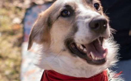 Kuschelbär Quninny sucht seine Familie