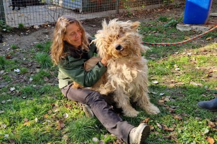 Ole - sucht eine Familie mit großem Garten