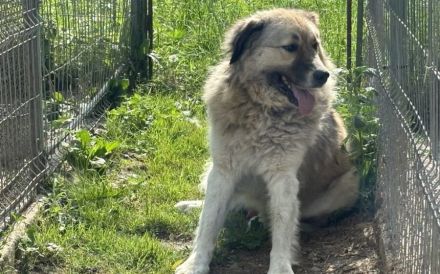 Wer hat ein großes Herz für Twix?