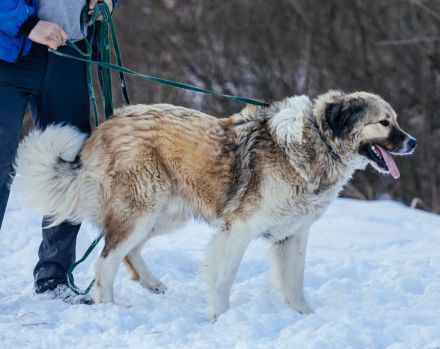 Wer hat ein großes Herz für Twix?