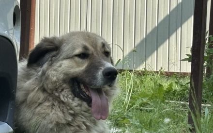 Wer hat ein großes Herz für Twix?