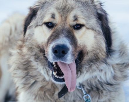 Wer hat ein großes Herz für Twix?