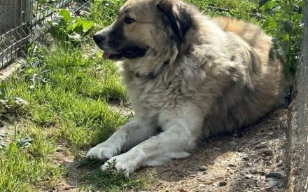 Wer hat ein großes Herz für Twix?