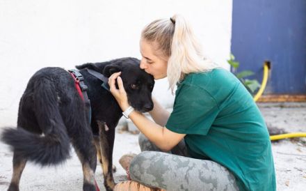 Der schöne Avio sucht seinen besten Freund